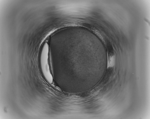 X0000096730387200802261458