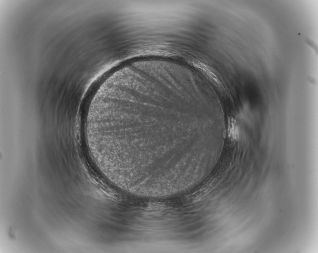 X0000096730388200802261458