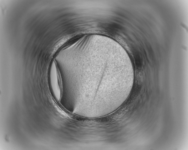 X0000096730389200802261458