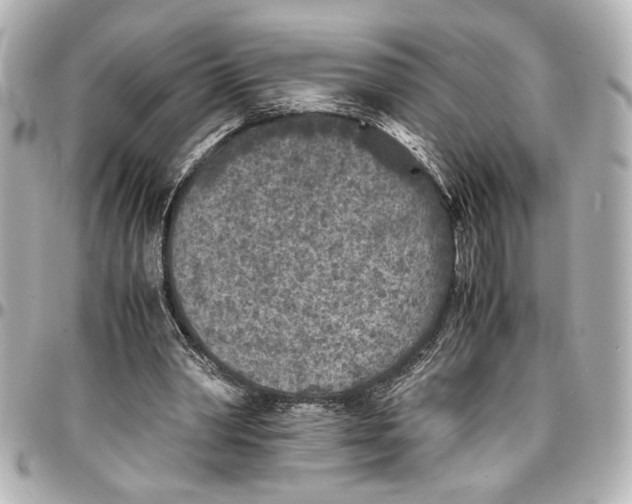 X0000096730390200802261458