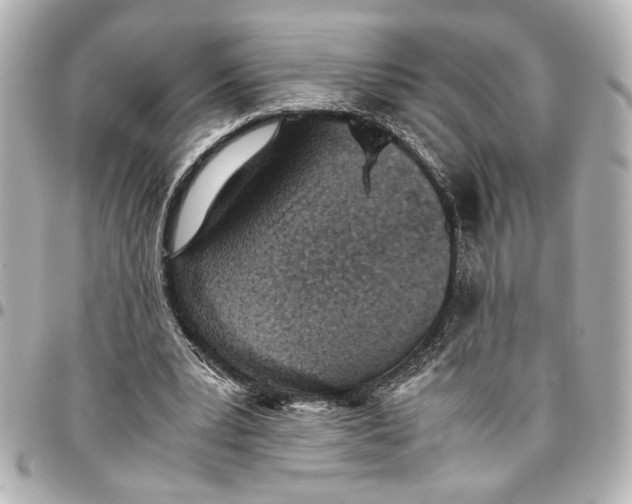 X0000096730391200802261458