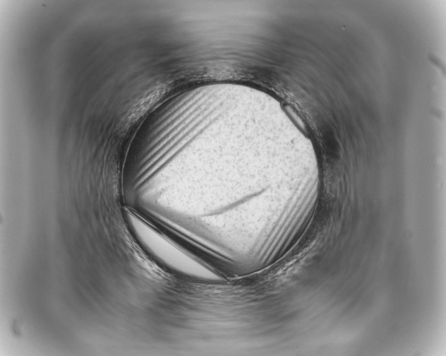 X0000096730393200802261458
