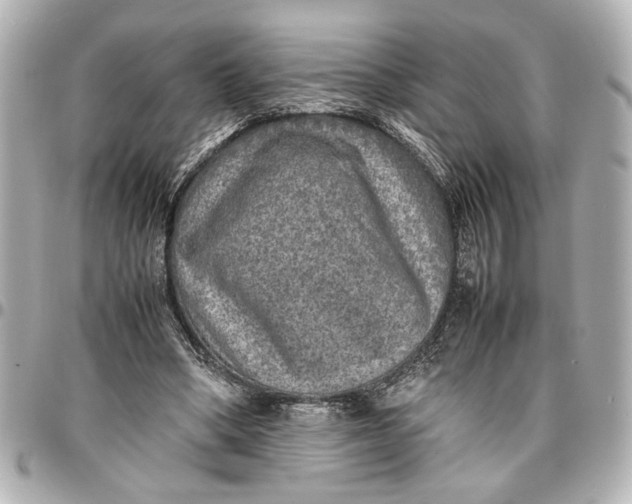 X0000096730394200802261458