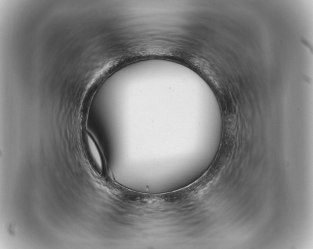 X0000096730395200802261458