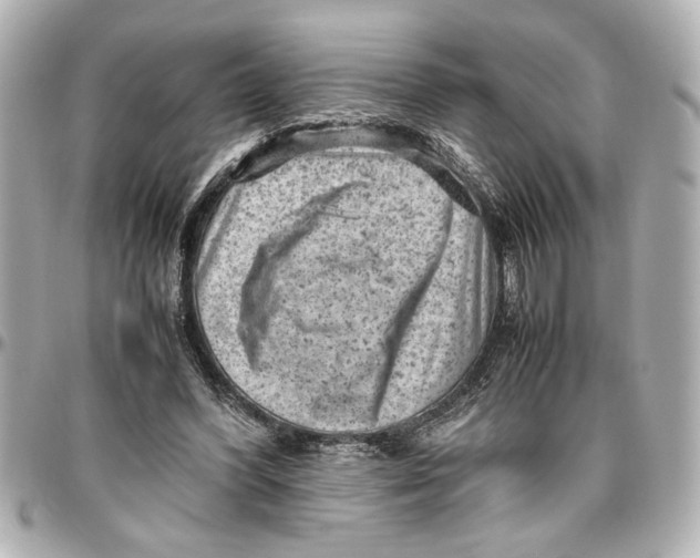 X0000096730396200802261458