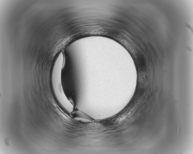 X0000096730397200802261458