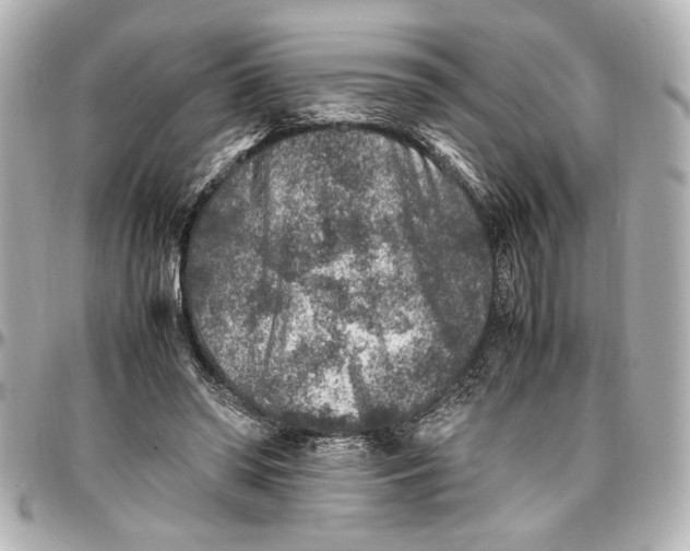 X0000096730398200802261458