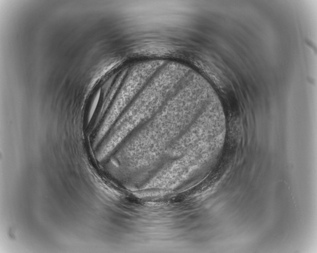 X0000096730399200802261458