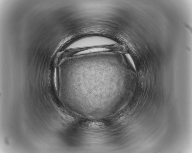X0000096730400200802261458