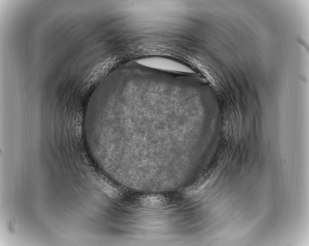 X0000096730402200802261458