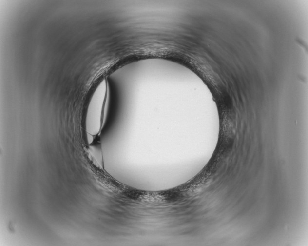 X0000096730403200802261458