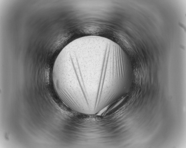 X0000096730404200802261458