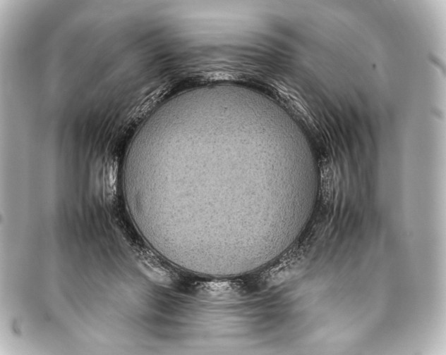 X0000096730406200802261458