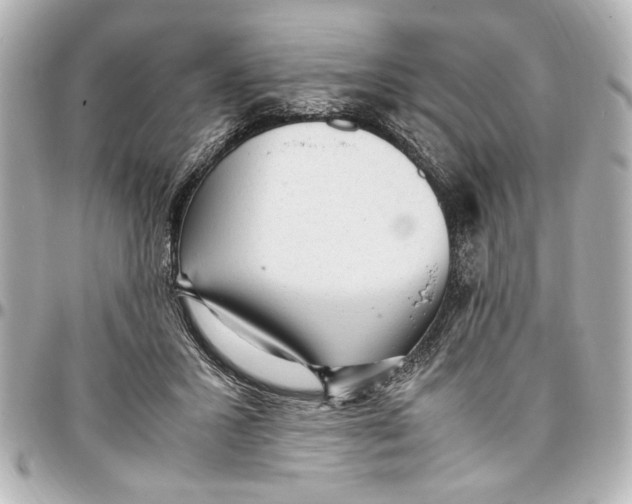 X0000096730407200802261458