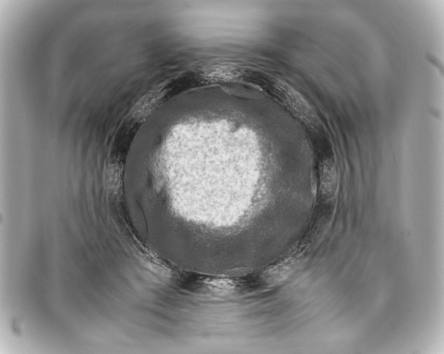 X0000096730409200802261458