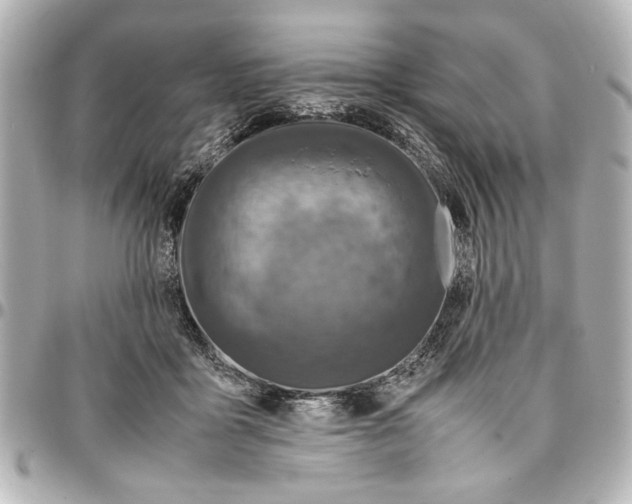 X0000096730411200802261458
