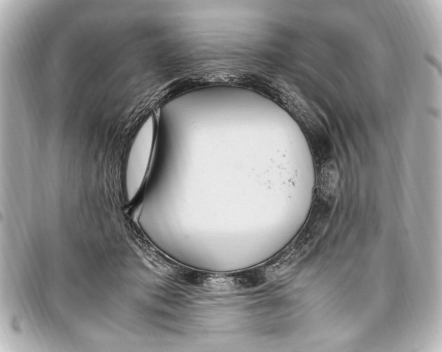 X0000096730413200802261458