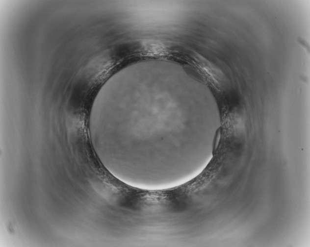 X0000096730415200802261458