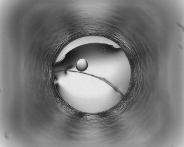 X0000096730417200802261458