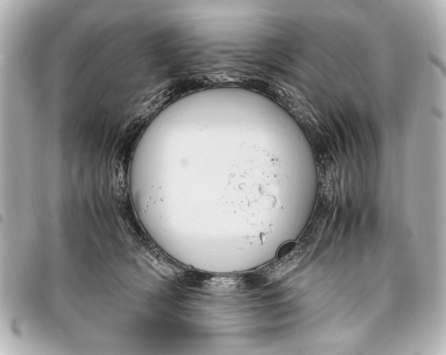X0000096730418200802261458