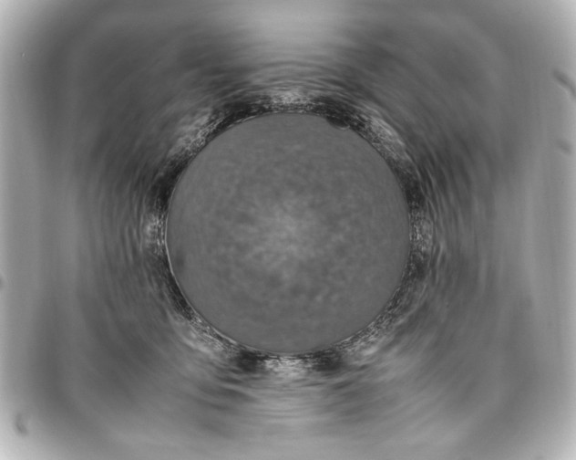 X0000096730419200802261458