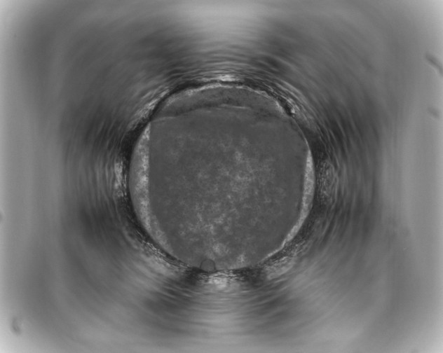 X0000096730420200802261457