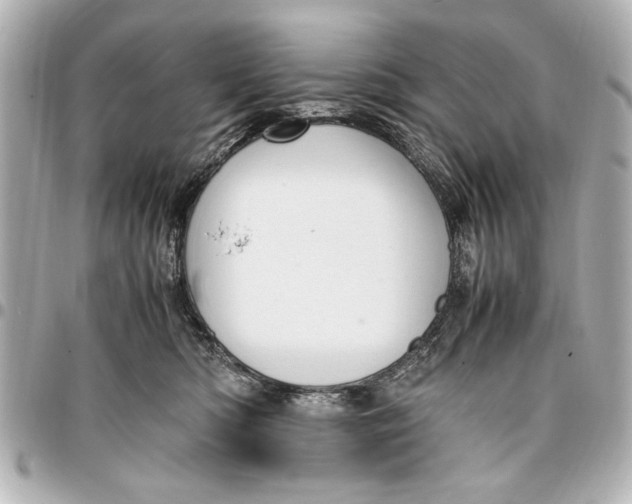 X0000096730422200802261457