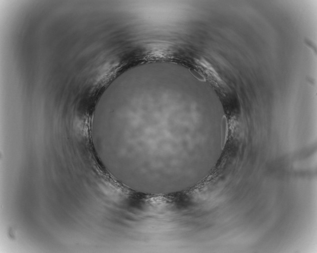 X0000096730423200802261457