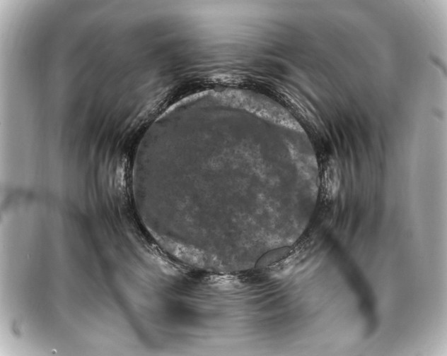 X0000096730424200802261457