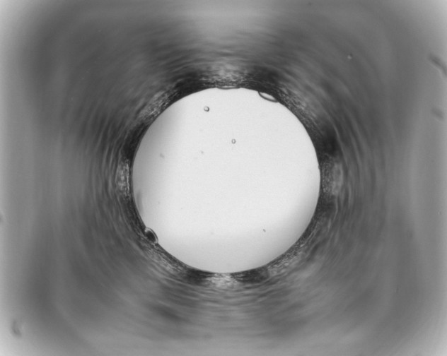 X0000096730425200802261457