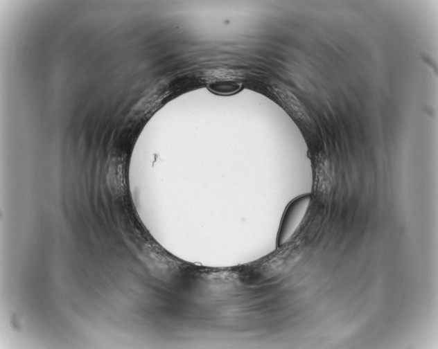 X0000096730426200802261457