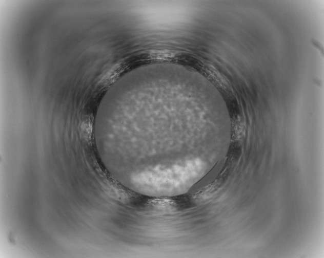 X0000096730427200802261457