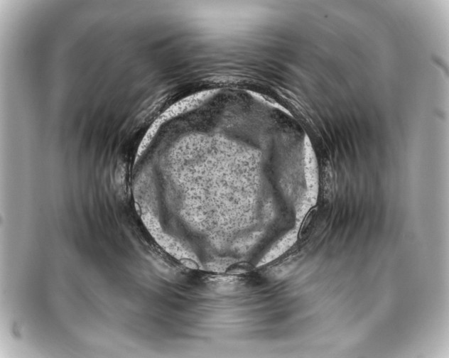 X0000096730428200802261457