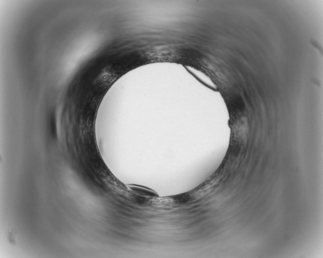 X0000096730429200802261457