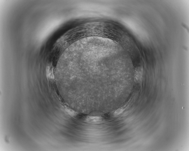 X0000096730431200802261457