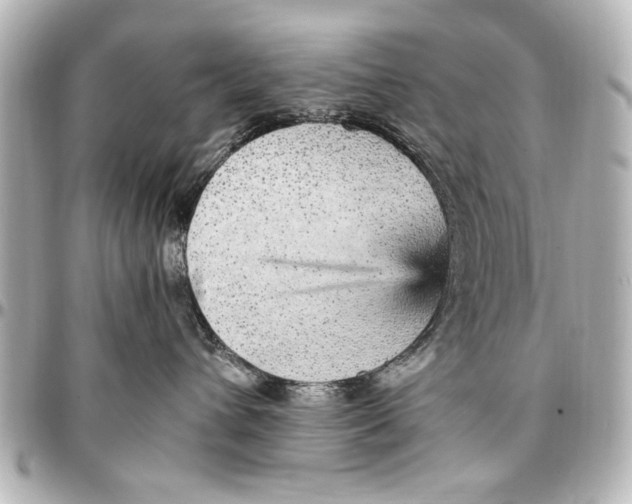 X0000096730432200802261457