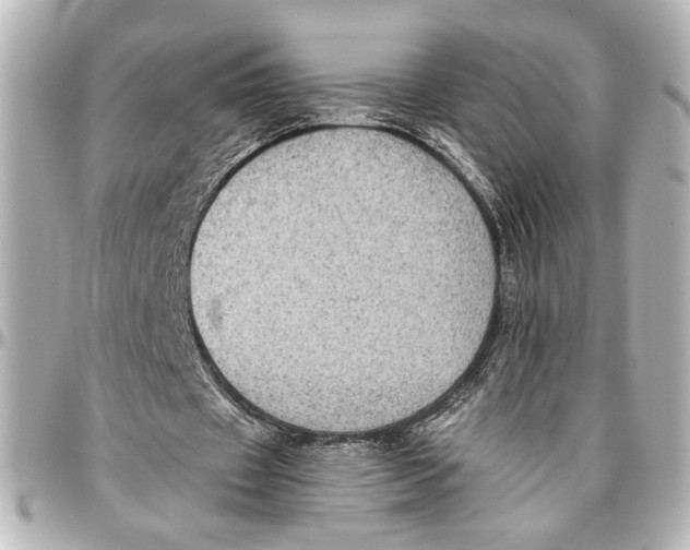 X0000096730433200802261456