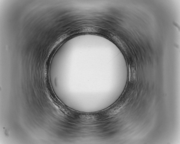 X0000096730435200802261456