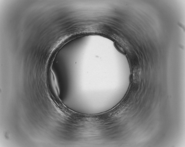 X0000096730436200802261456