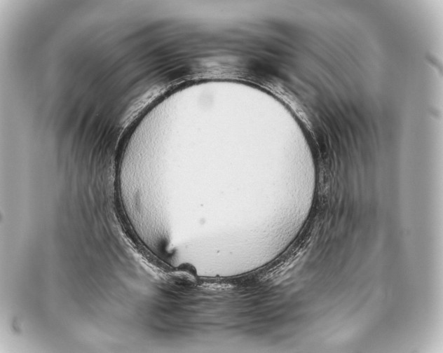 X0000096730437200802261456