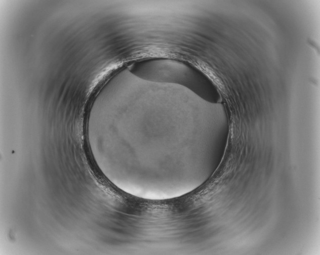 X0000096730438200802261456
