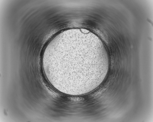 X0000096730439200802261457