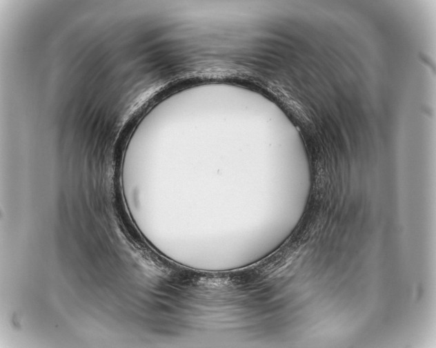 X0000096730440200802261457