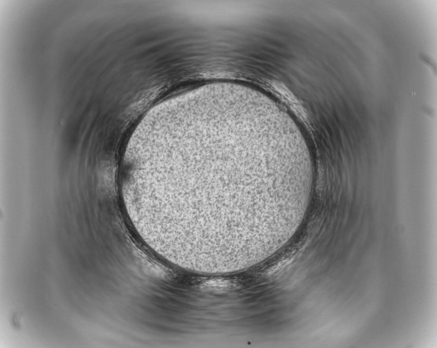 X0000096730441200802261457