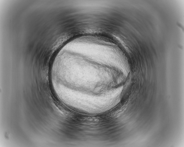 X0000096730443200802261457