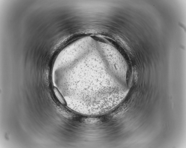 X0000096730444200802261457