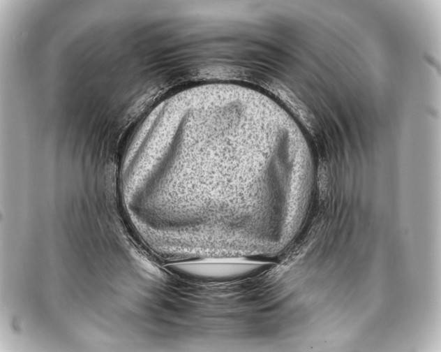 X0000096730445200802261457