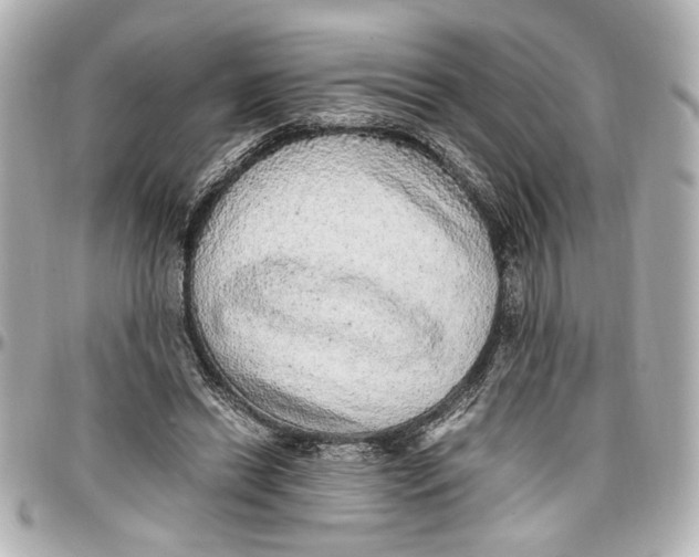 X0000096730446200802261457