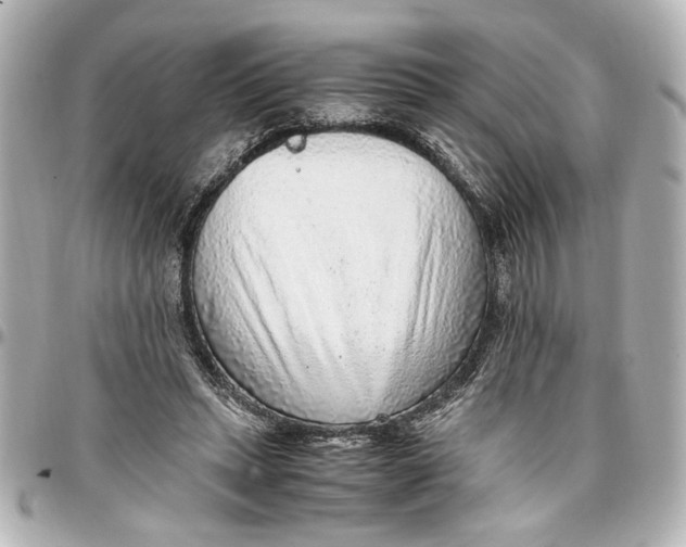 X0000096730447200802261457