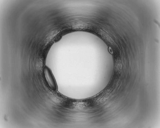 X0000096730448200802261457
